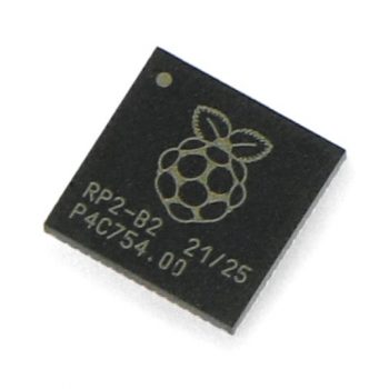 RPI-19536