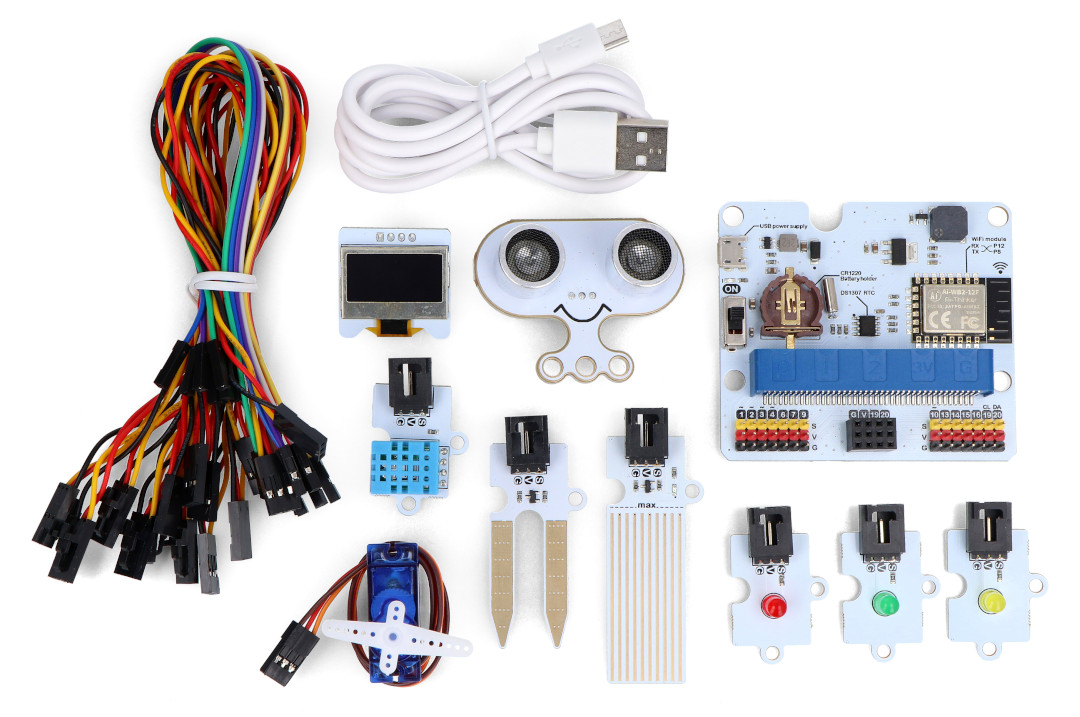 BBC micro:bit Modul muss separat erworben werden